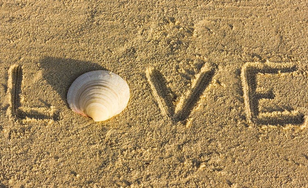 Wayfarer News - Why we love Marina Del Ray