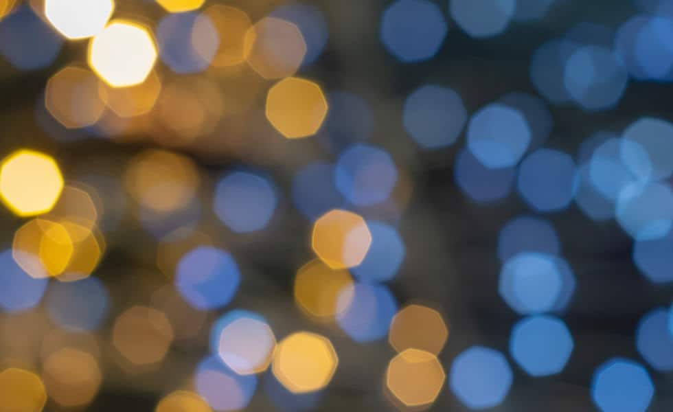 Wayfarer News - A bright start to the holiday season