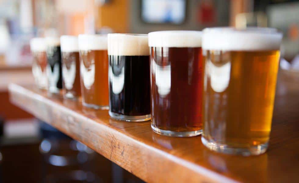 Wayfarer News - Brew Lagoon Craft Beer & Music Fest: April 29