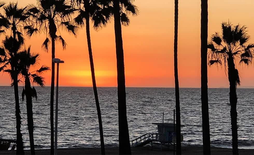 Sunset with Trees