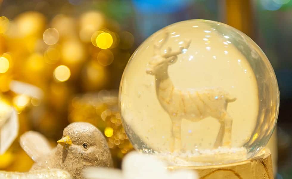 Snow Globe